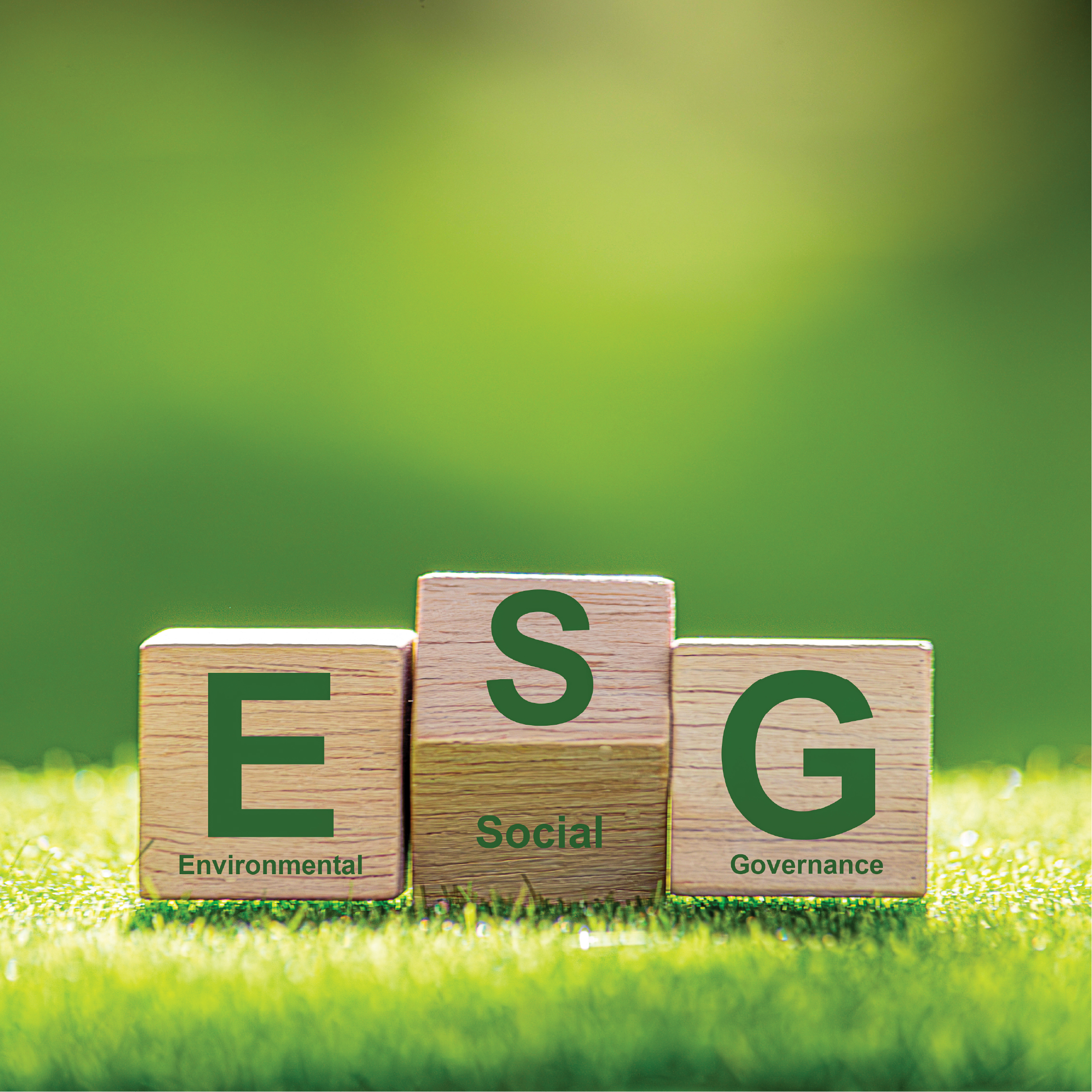 دمج معايير ESG ونضج الاستدامة المؤسسية