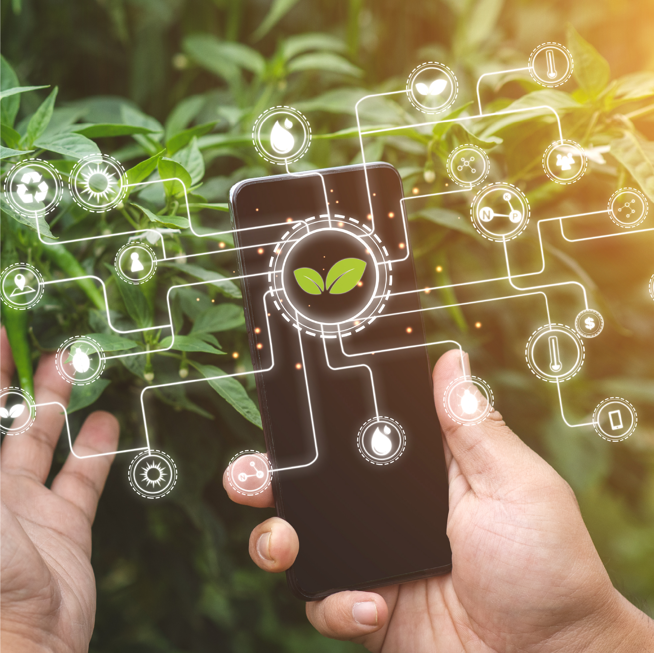 التقنيات الذكية والابتكار في قياس وتعزيز الأثر الاجتماعي